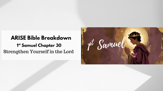 Bible Study Along: 1 Samuel 30