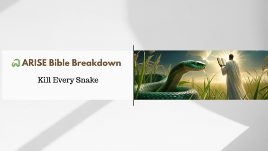 Kill Every Snake
