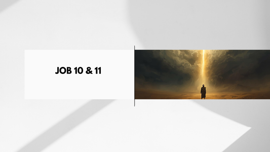 Job Chapter 10 & 11