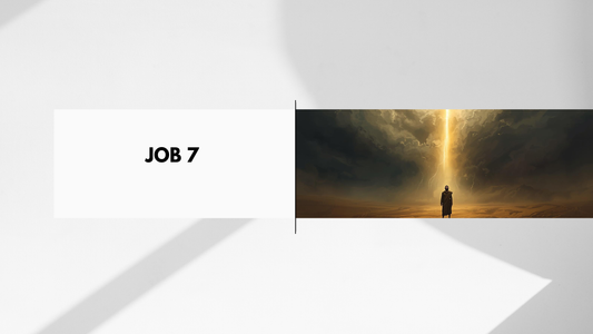 Job Chapter 7