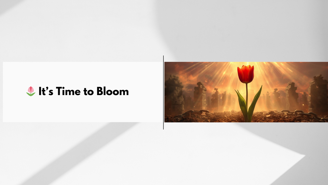 🌷 It’s Time to Bloom
