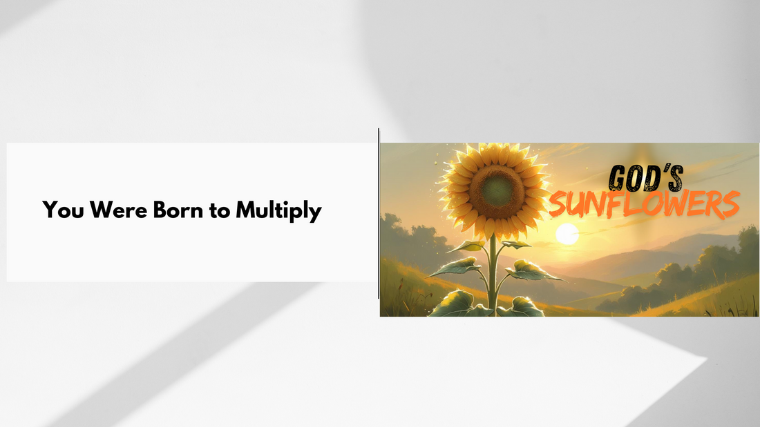 Sunflower Devotional: Day 2